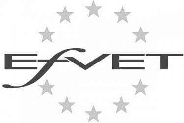 European Forum of Technical and Vocational Education and Training (EfVET)
