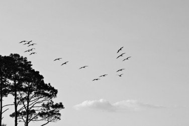 Erasmus+ KA1 confirmed project: Own the Potential of Environment in Non-formal Education