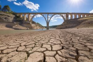 EU and drought-riven summer
