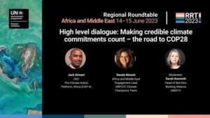 Regional Roundtable: Africa and the Middle East 2023