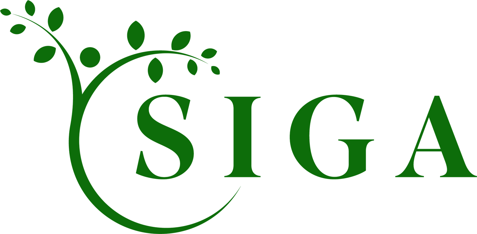 Logo-Siga project